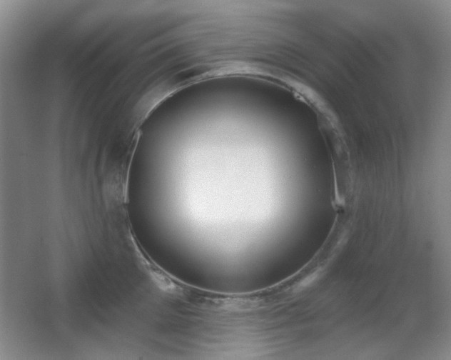 X0000067330905200603311057
