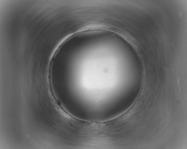 X0000067330912200603311057