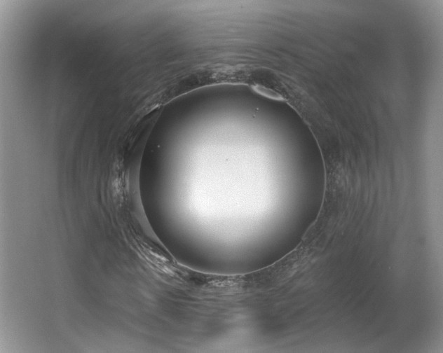 X0000067330914200603311056