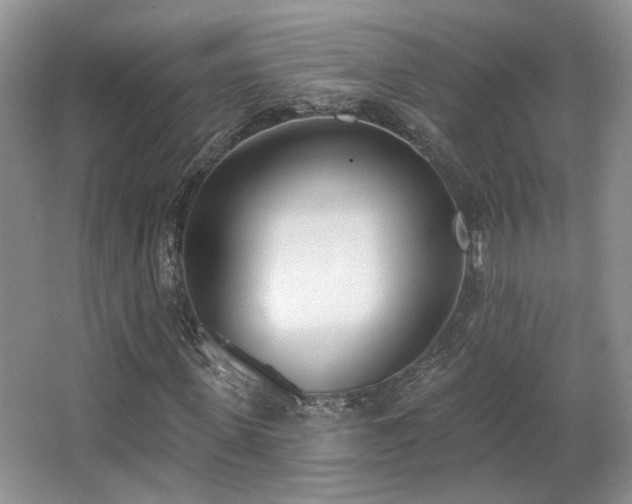 X0000067330915200603311056