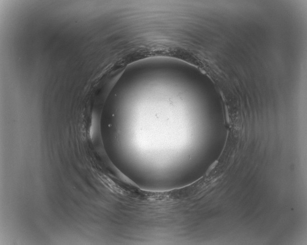 X0000067330916200603311056