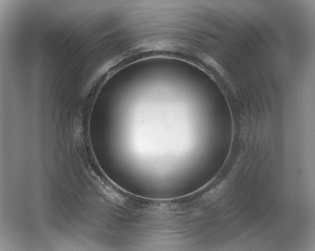X0000067330922200603311056
