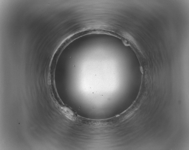 X0000067330924200603311056
