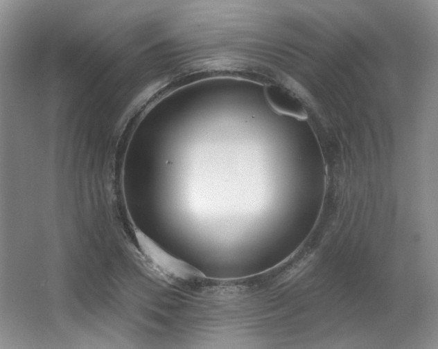 X0000067330930200603311056