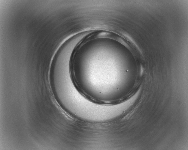 X0000067330932200603311056