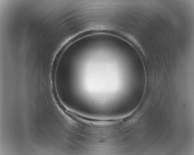 X0000067330935200603311056