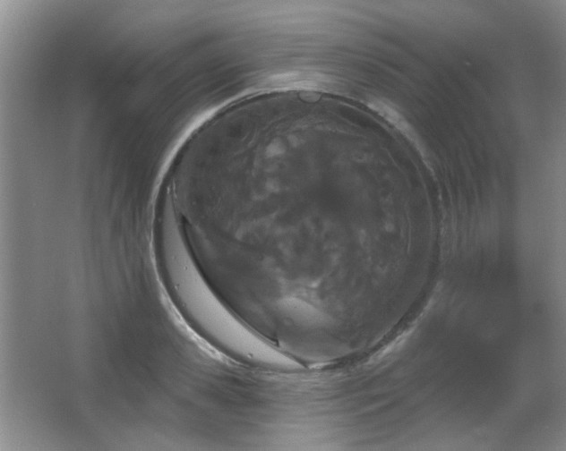 X0000067330941200603311056