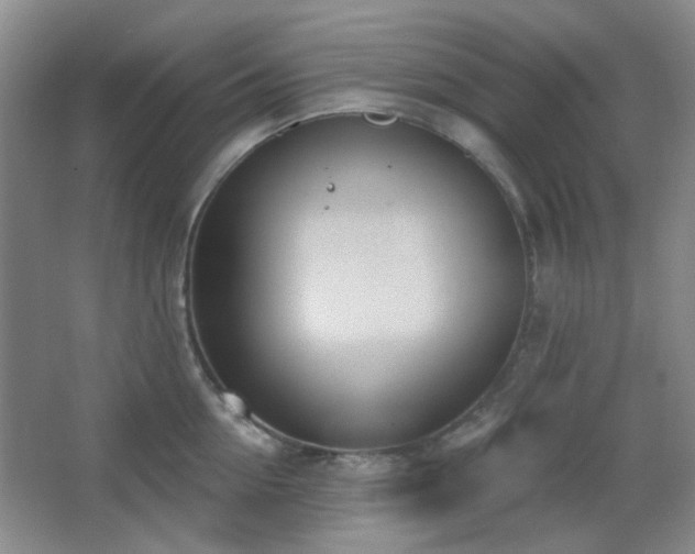 X0000067330954200603311056