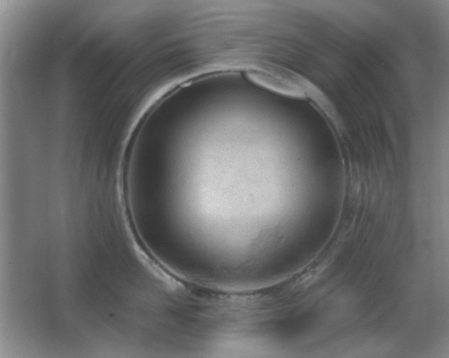 X0000067330958200603311057