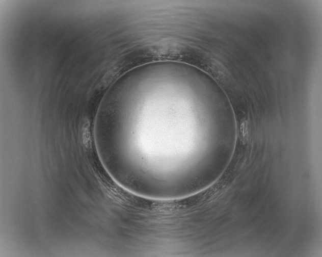 X0000067330963200603311056