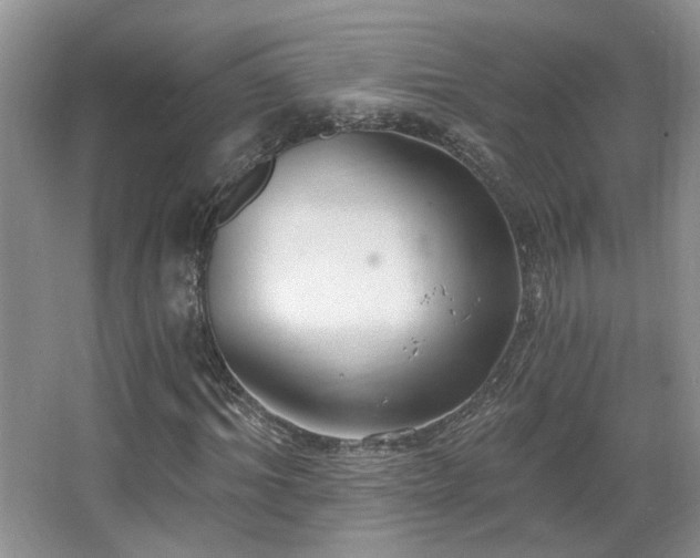 X0000067330964200603311056