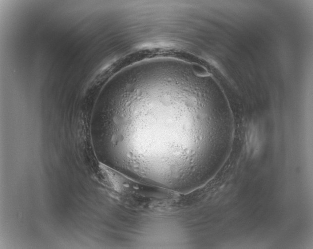 X0000067330967200603311056