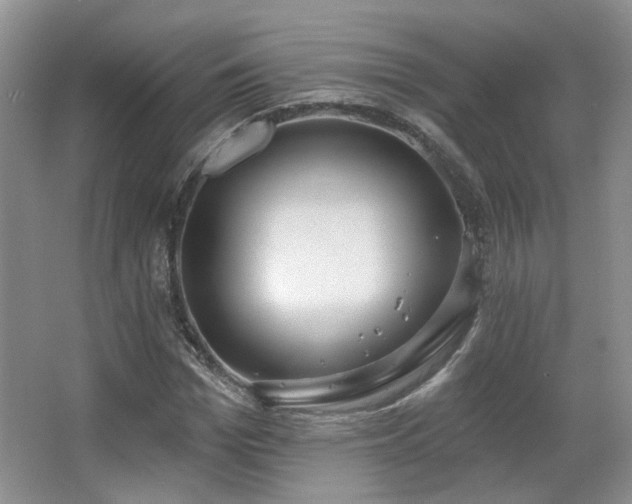 X0000067330969200603311056