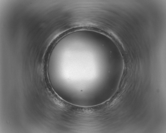 X0000067330975200603311056