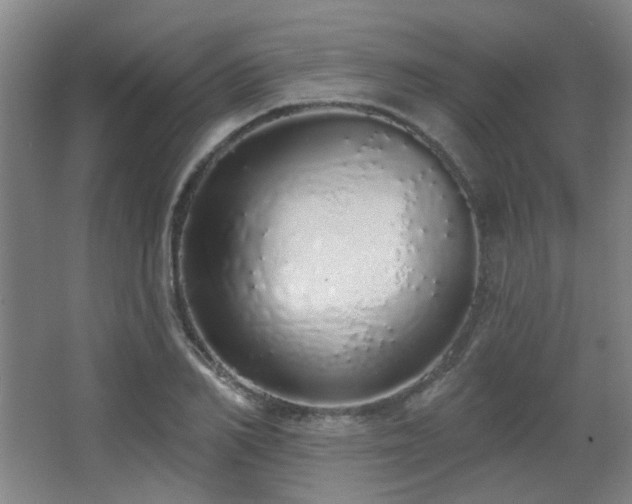 X0000067330982200603311055