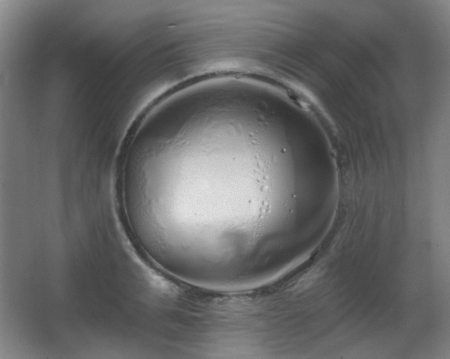 X0000067330991200603311055