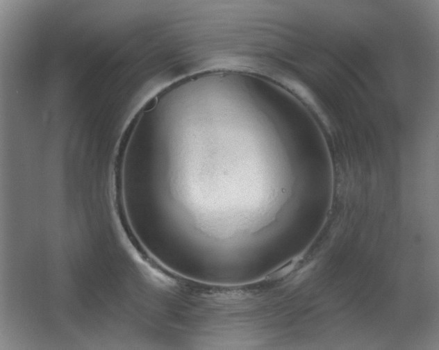 X0000067330999200603311055