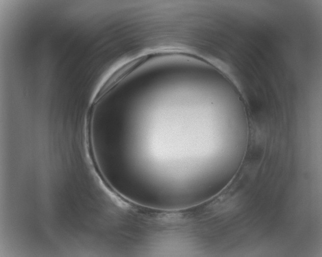 X0000067331006200603311055