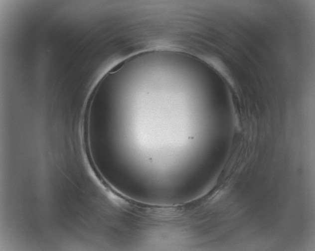 X0000067331007200603311055
