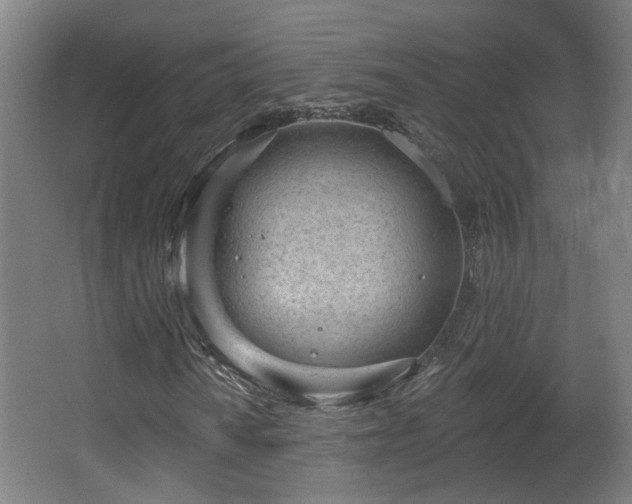 X0000067331010200603311054
