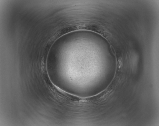 X0000067331011200603311054