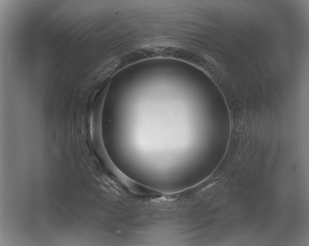 X0000067331014200603311054
