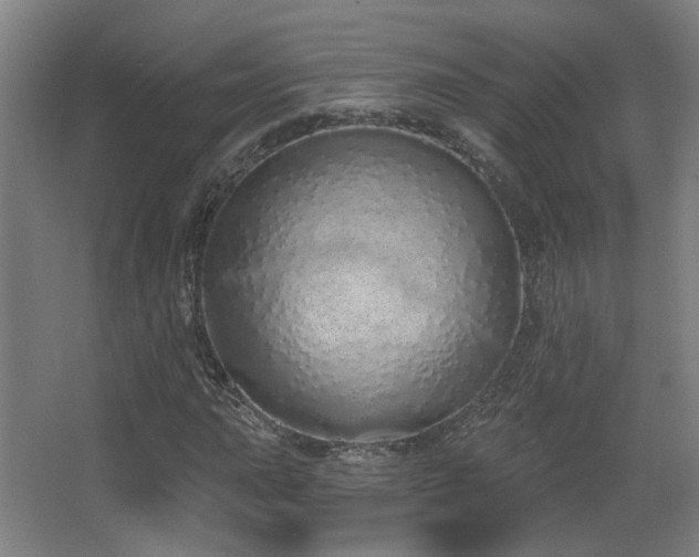 X0000067331015200603311054