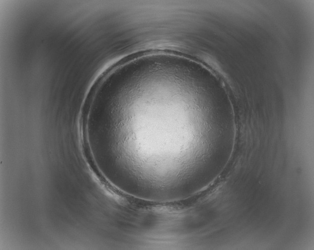 X0000067331032200603311055