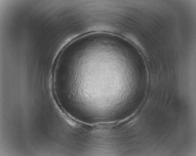 X0000067331040200603311055