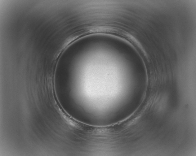 X0000067331041200603311055
