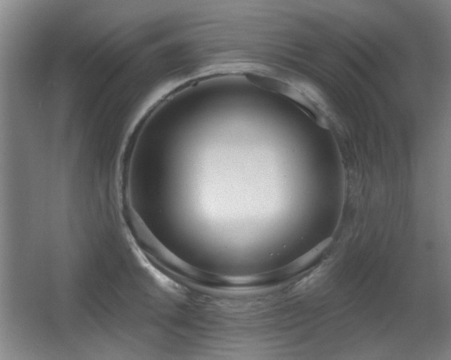 X0000067331046200603311055