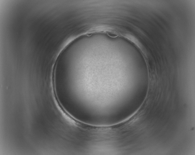 X0000067331055200603311055