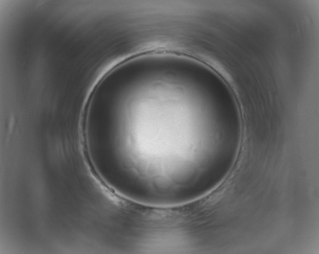 X0000067331056200603311055