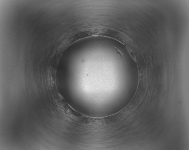 X0000067331058200603311054