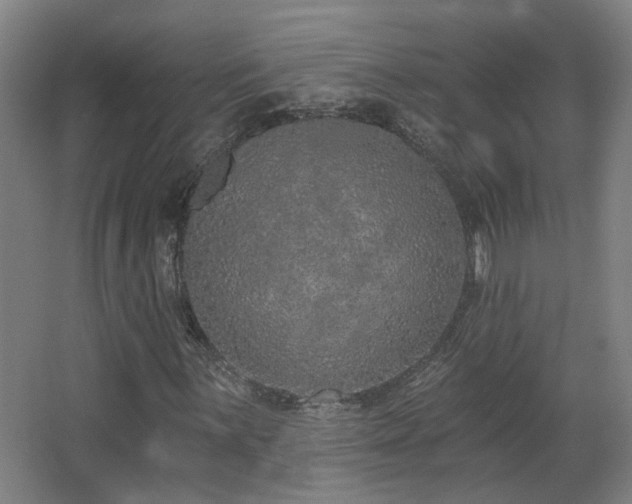 X0000067331059200603311054