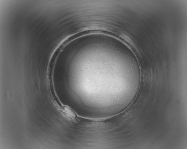 X0000067331068200603311054