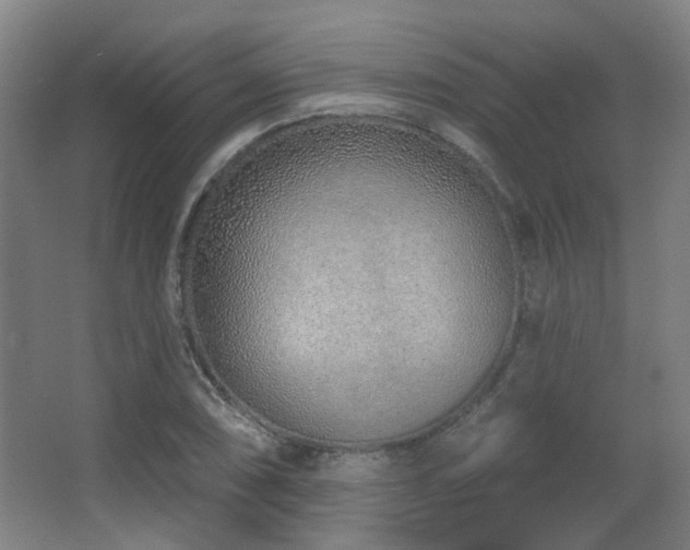 X0000067331074200603311054