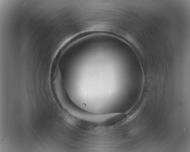 X0000067331077200603311054
