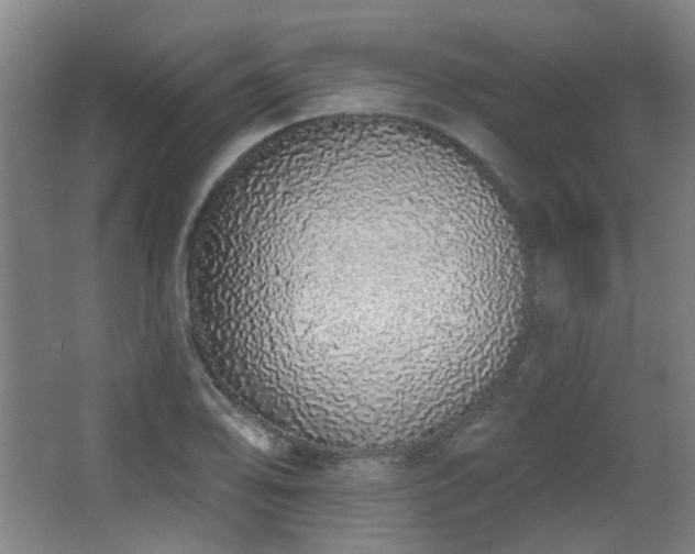 X0000067331078200603311054