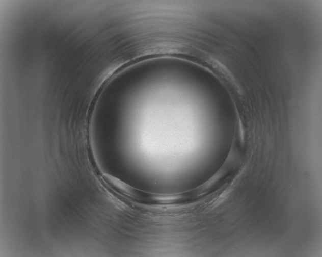 X0000067331081200603311054