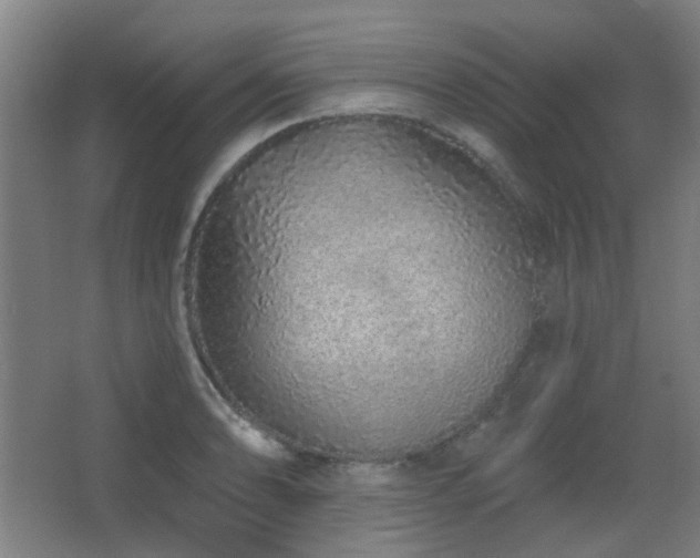 X0000067331086200603311054