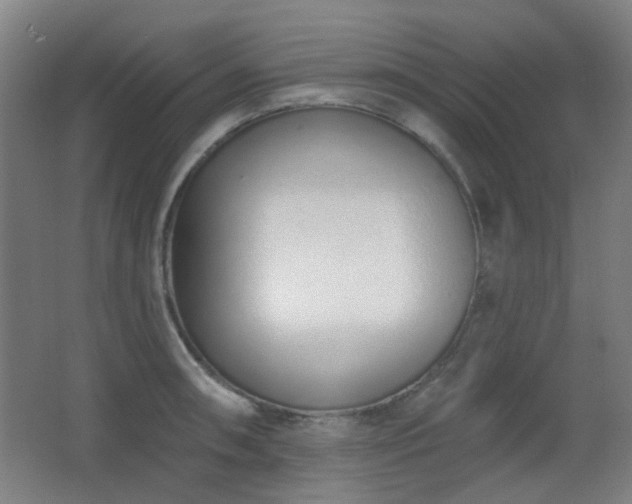 X0000067331090200603311054