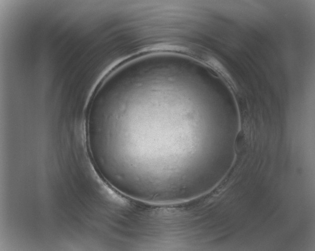 X0000067331092200603311054