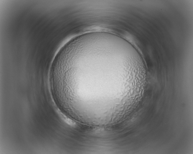 X0000067331098200603311053