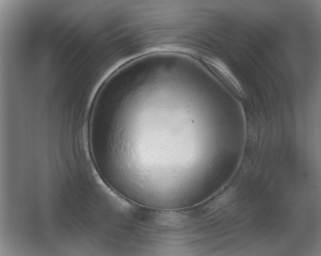 X0000067331100200603311053