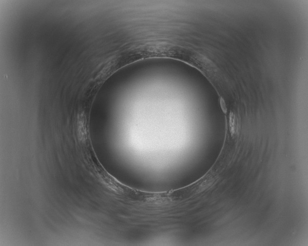 X0000067331107200603311053