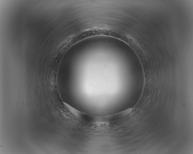 X0000067331110200603311053