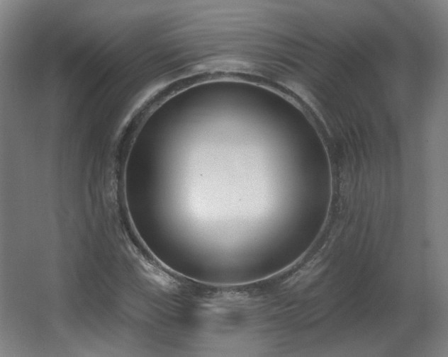 X0000067331115200603311053