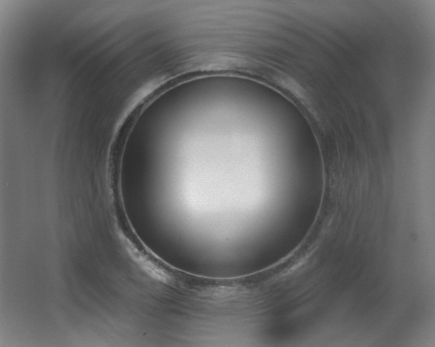 X0000067331122200603311053