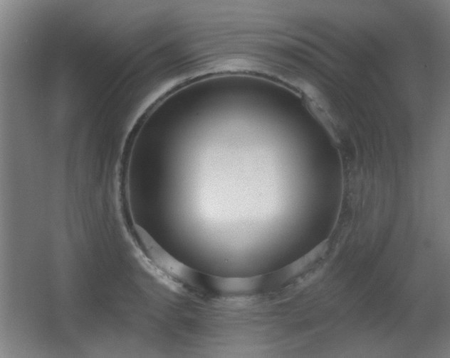 X0000067331134200603311053